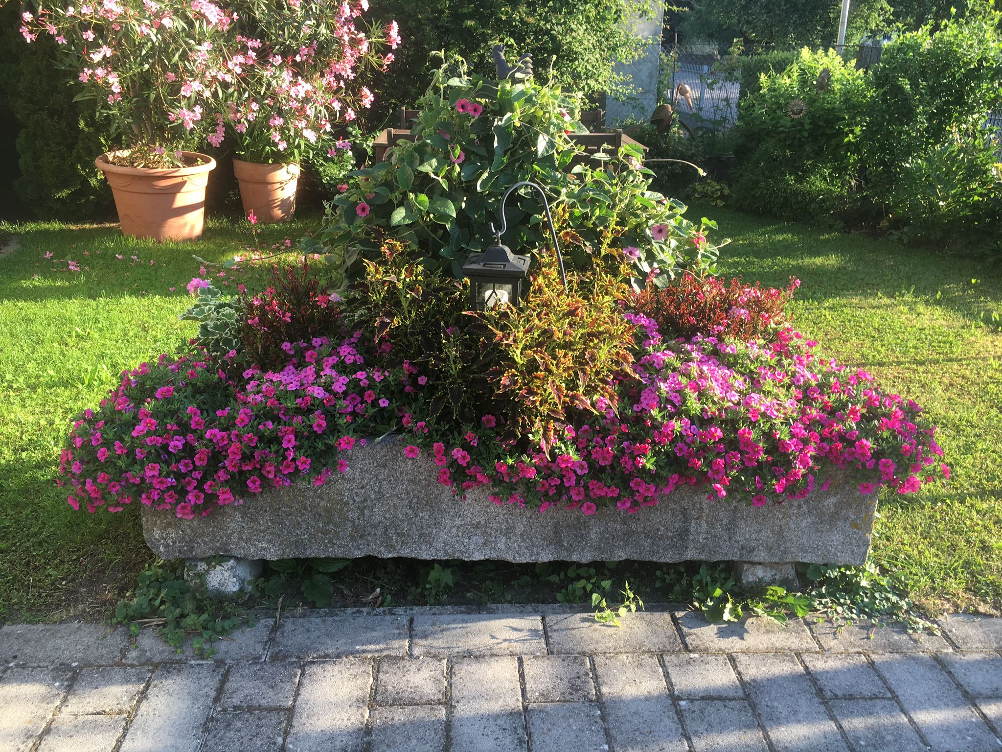 Gepflegter Garten in Landshut - Ihr grünes Paradies